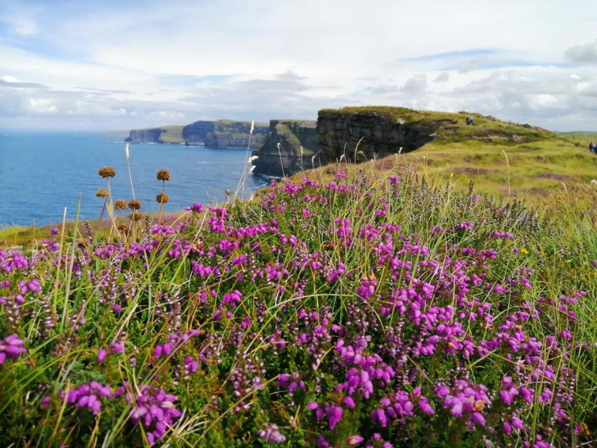 Puffin Rooms Lisdoonvarna Esterno foto